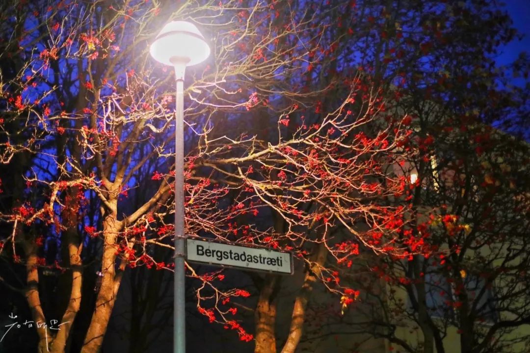 冰岛首都雷克雅地心游记,全世界最北的城市极夜