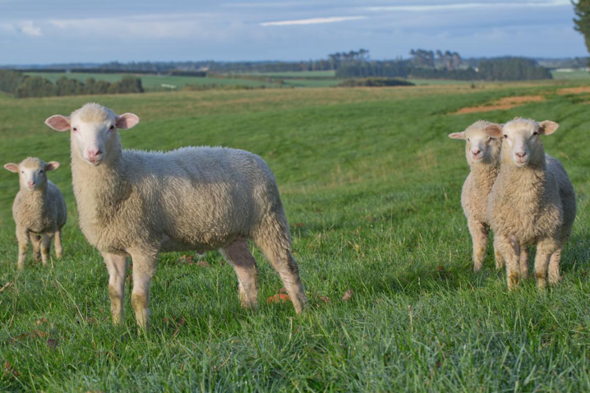 宝宝断奶如何引导吃辅食和奶粉,断奶宝宝只吃辅食不吃奶粉怎么办
