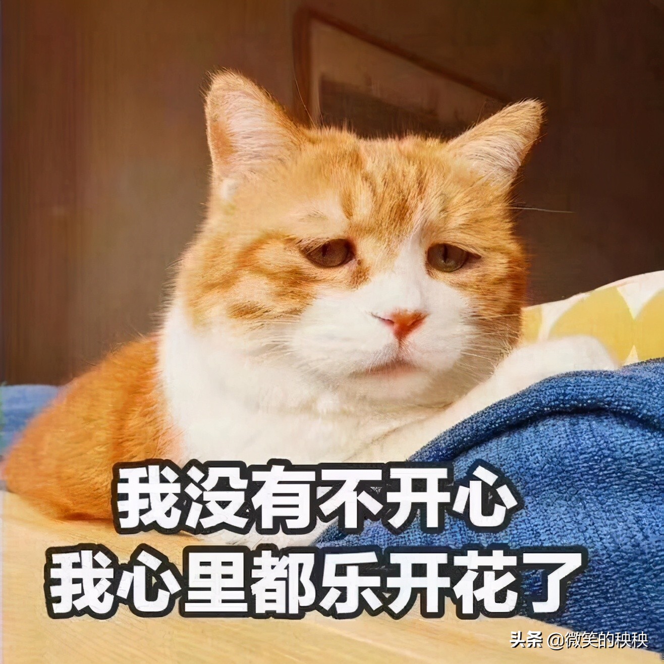 战痘经验之谈,战痘十年我是如何把痘痘治好的