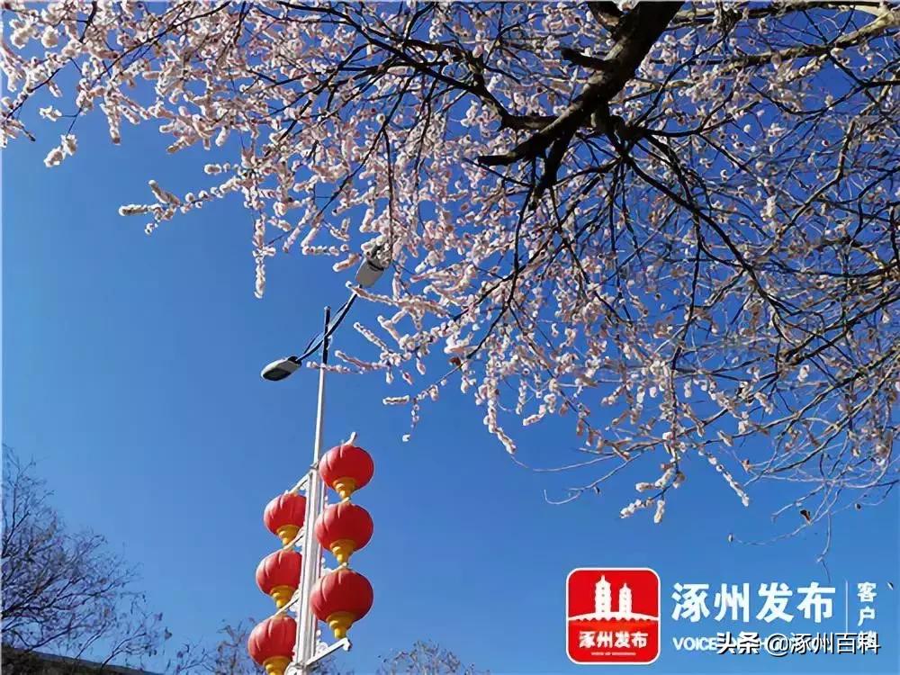 涿州华阳路东兴街最新消息,涿州最新复工通知