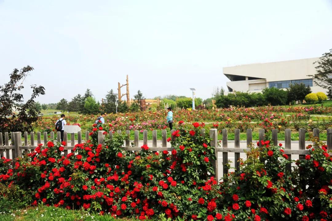 锦州世博园自由行,锦州世博园攻略