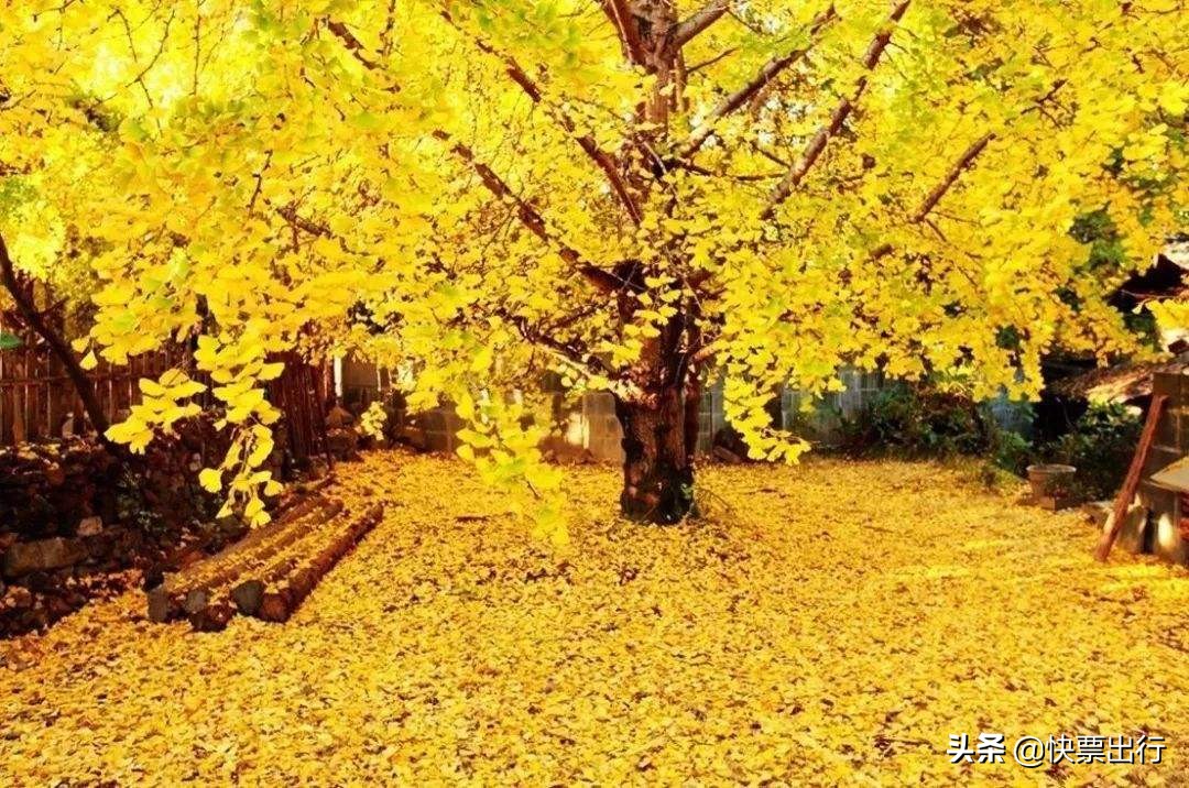 冬季适合旅游的小众地方国内,适合冬季旅游的国内地方推荐