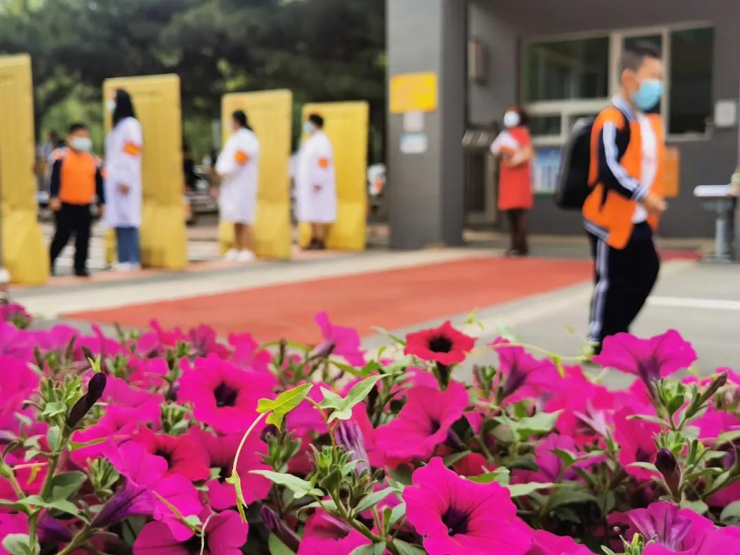 儿童手掌皮炎,小孩戴口罩皮炎怎么治