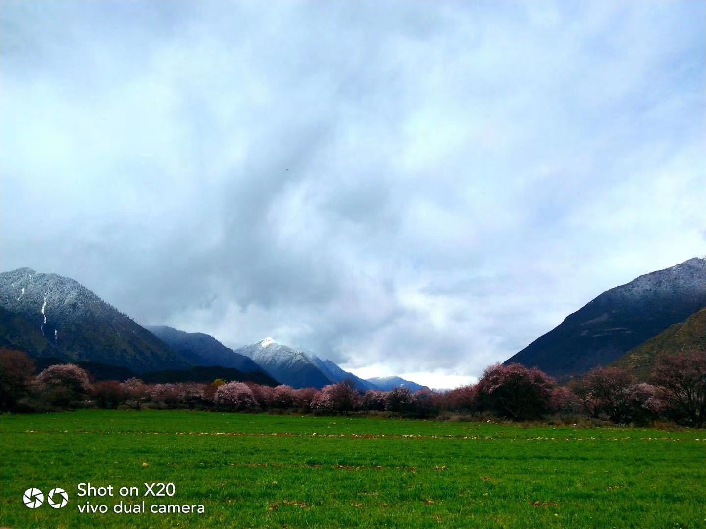 成都租丰田陆地巡洋舰去拉萨,这车行吗？