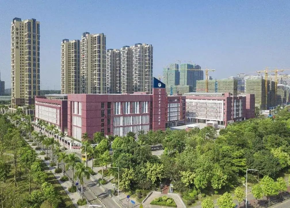深圳最难进的学校,深圳最难进的五大学校