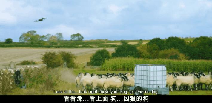 豆瓣9.6，这个“英国版李子柒”承包了我本月的笑点