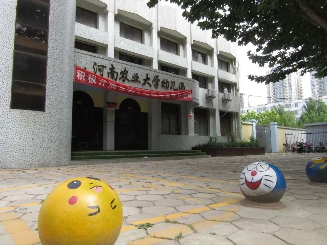 金水区公立幼儿园有哪些,郑州金水区第一幼儿园容易进吗