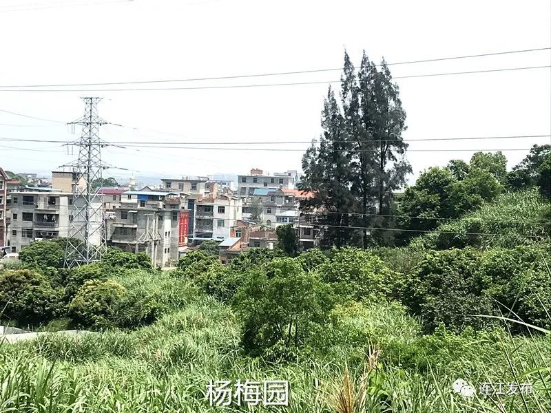 访谈|坑园镇刘然副镇长介绍“乡村振兴”工作情况