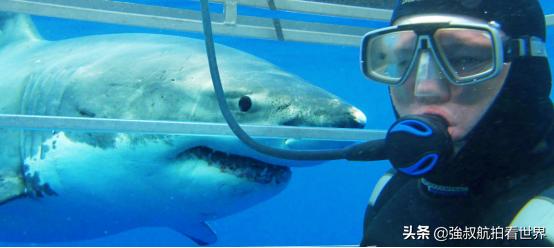 去南澳州旅游怎么样,去南澳旅游要不要做攻略