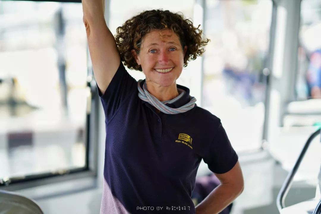 去哪里旅游可以看南极企鹅,旅游攻略南极看企鹅