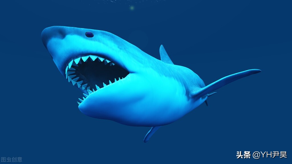 发生在美国的罕见事件，大白鲨遭遇神秘生物捕杀，真相颠覆认知