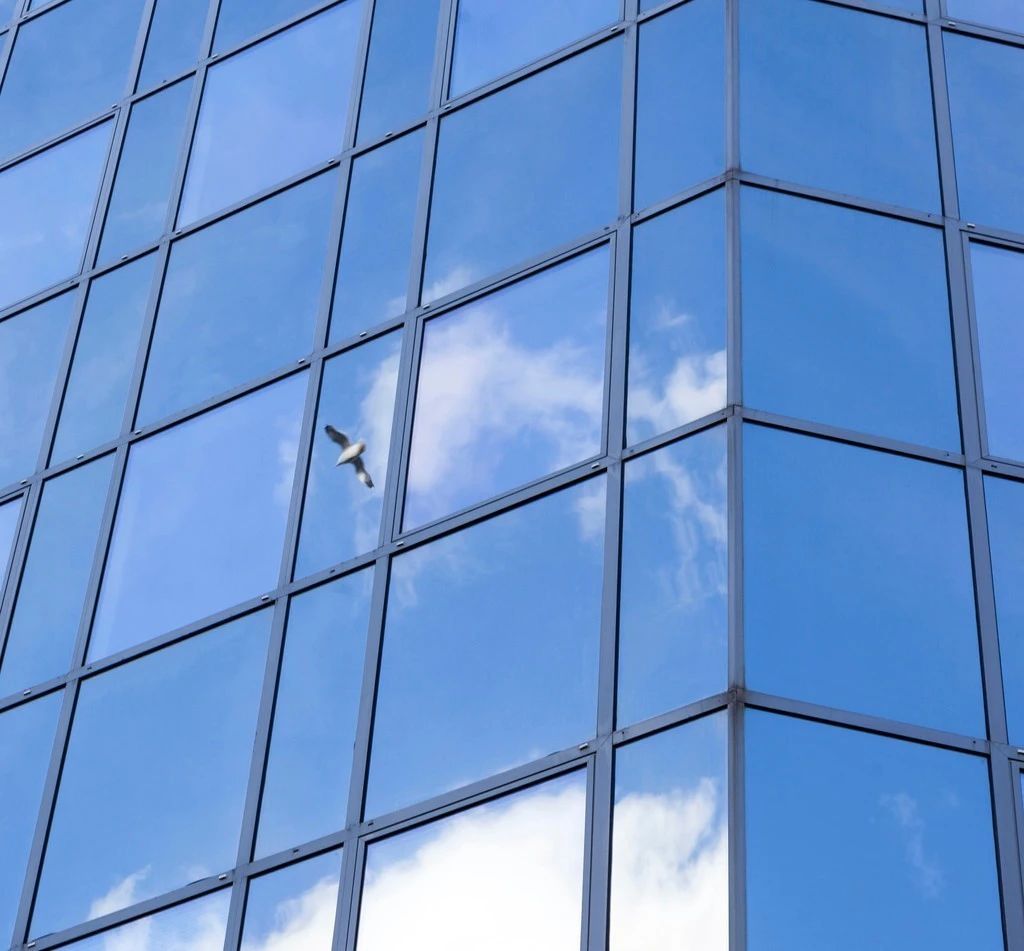 世界上最高的建筑迪拜哈利法塔,世界最高楼迪拜哈利法塔高度