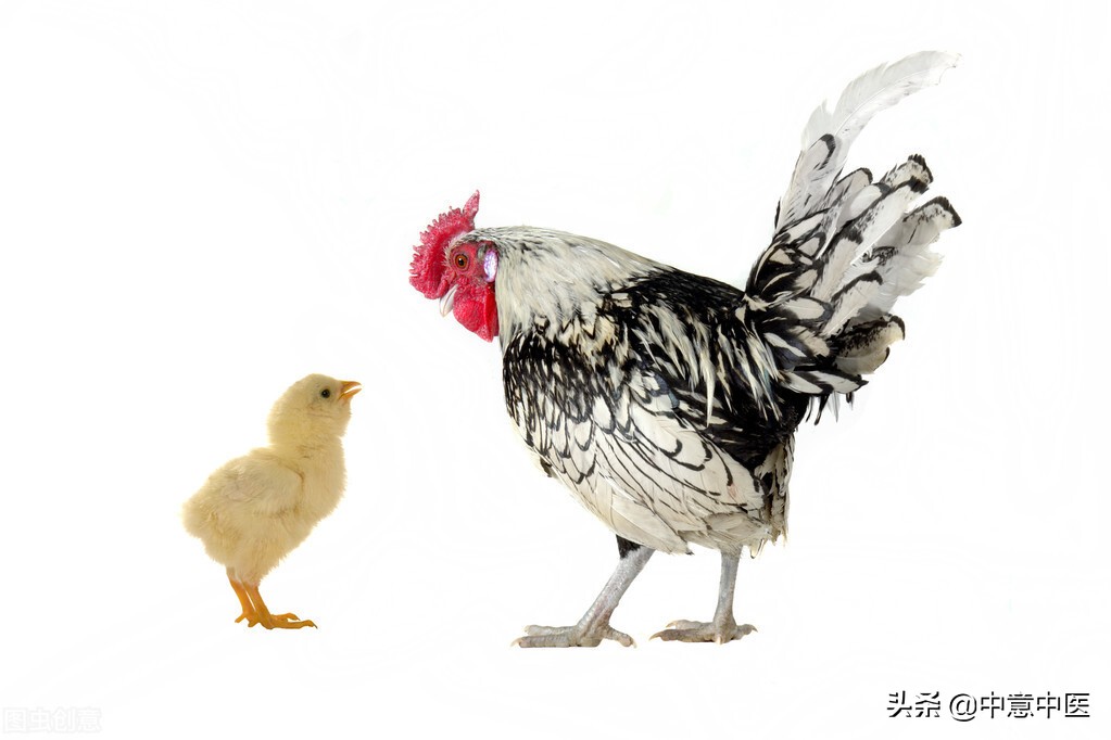 阳痿*泄早**的中医养生食疗