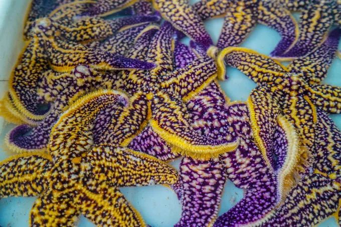 山东百强县2021年排名,山东2021百强县排名榜