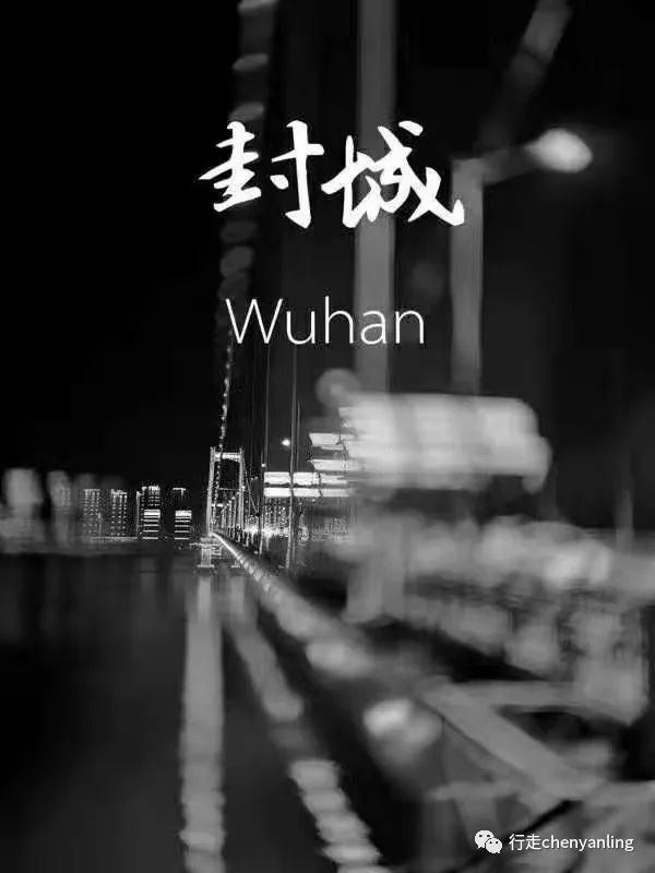 写在2020除夕夜封城记录,一湖北枝江