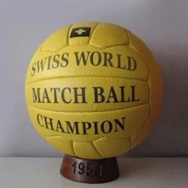 历届世界杯用球型号,历届世界杯足球用球