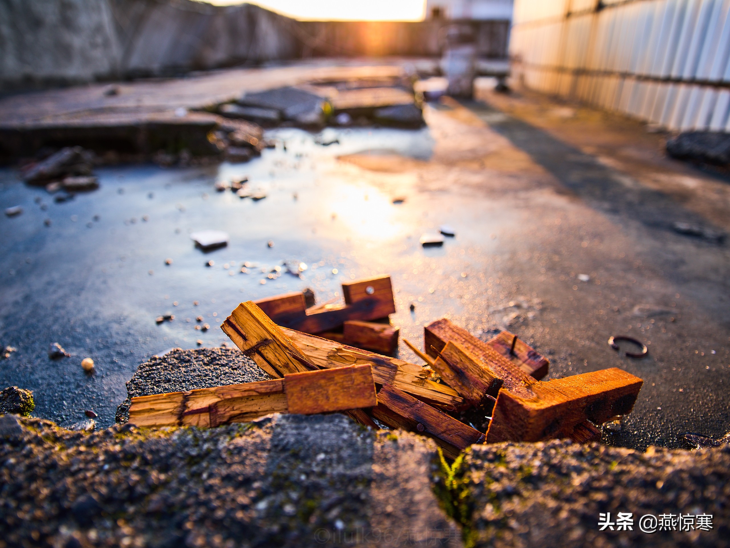 说说你用的相机,理光镜头和宾得通用吗