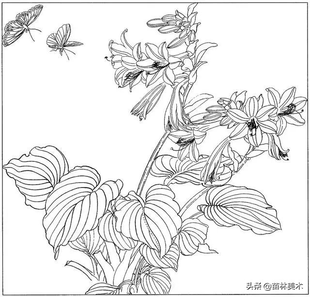 现代国画工笔花鸟白描及完整版,路雨年工笔白描花鸟团扇高清图片