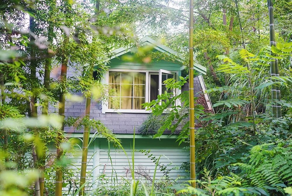 被称为中国小瑞士的地方,号称国内小瑞士