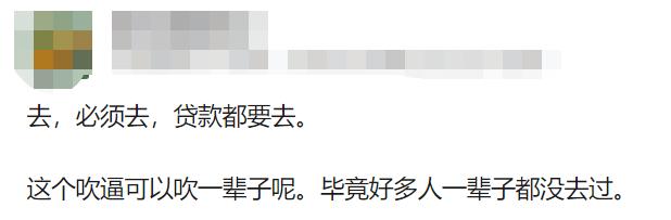 米其林轮胎做法大全,中国美食米其林