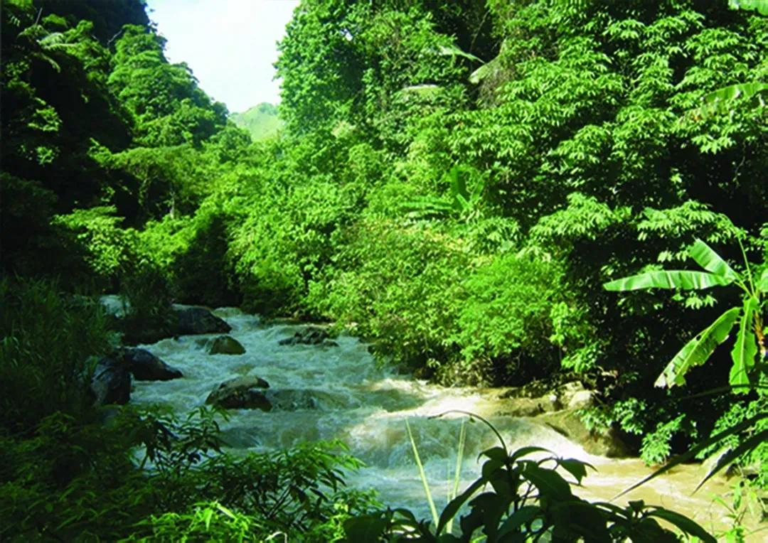 出门随处见绿，身边处处成景！看个旧如何实现“转型逆袭”→