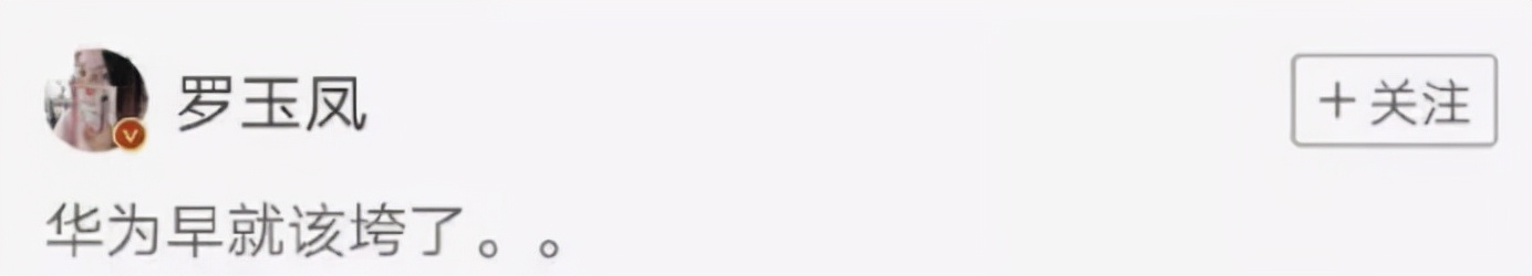 “网红恶女”罗玉凤的荒唐史，原来为了出名真的可以肆无忌惮