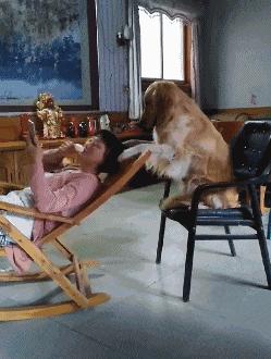 搞笑gif开心一刻原来高手在民间,搞笑gif你大爷果然还是你大爷