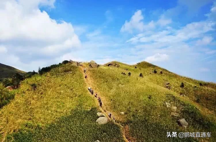 深圳周边适合10-15人玩乐的地方,深圳周边两天一夜的旅游地方推荐