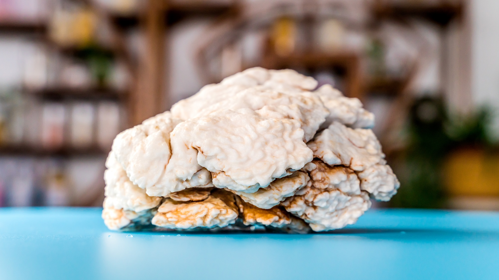 专访万皇太岁王大玮：传播太岁价值，践行药食同源，弘扬传统文化