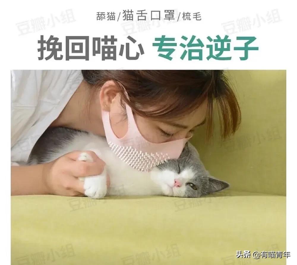 长毛猫撸猫毛工具,哪种撸猫毛的工具好用