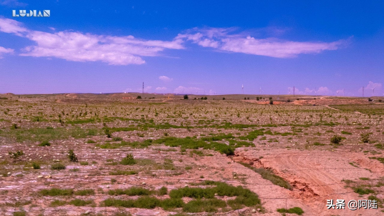 宁夏中卫硒砂瓜长在戈壁滩,吴忠市硒砂瓜也禁止种植吗