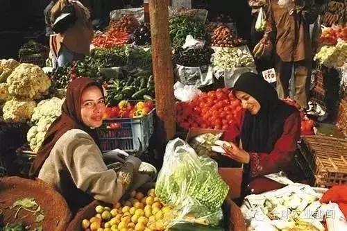 物联网水肥一体化以色列,菜吧家庭农场运营