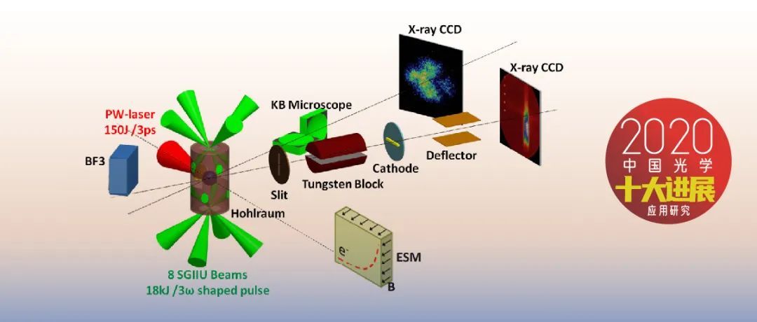 2020骞村害涓浗鍏夊鍗佸ぇ杩涘睍,2020骞村害涓浗鍏夊鍗佸ぇ杩涘睍鎻檽