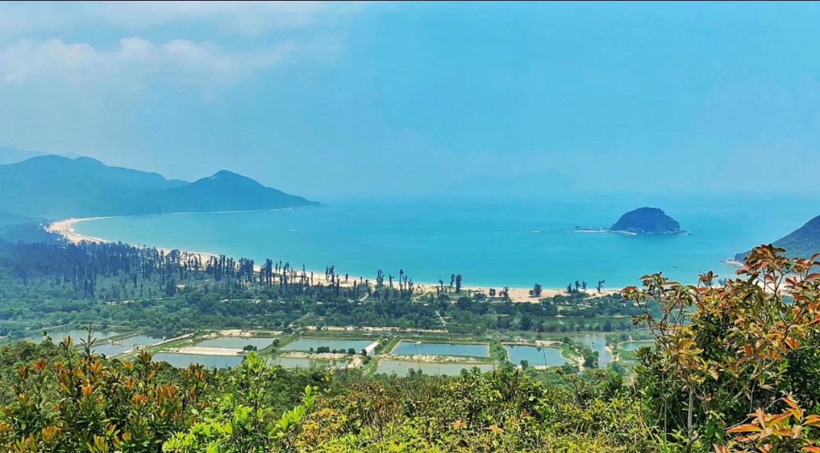 广东必去的沙滩旅游景点,广东十个露营的海岛