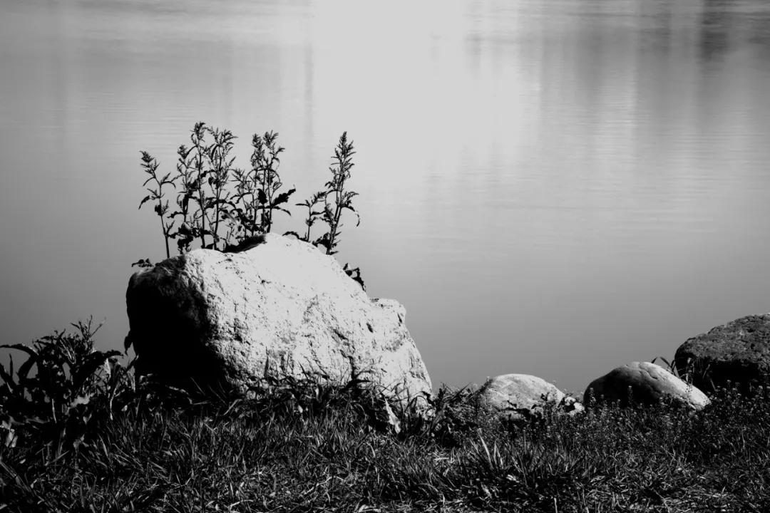 津门网金熙男:宁静的太子河