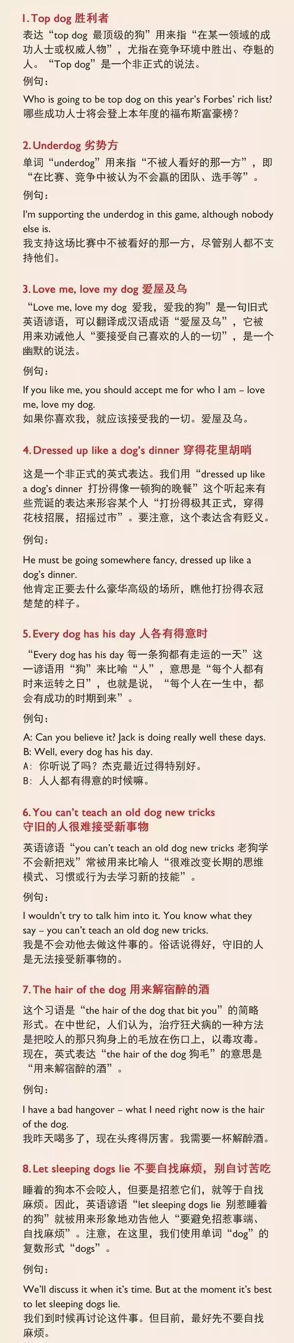ilovedog,ilovedog是什么意思