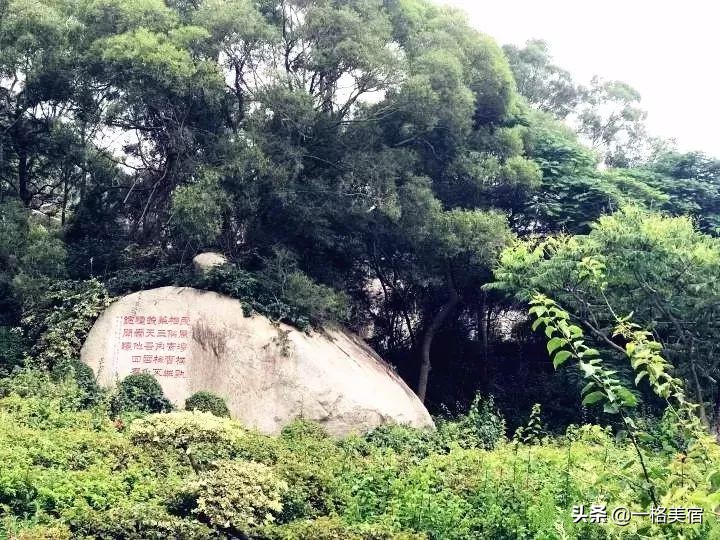 厦门五日游必去十大景点有哪些,厦门一日游必去的五个景点