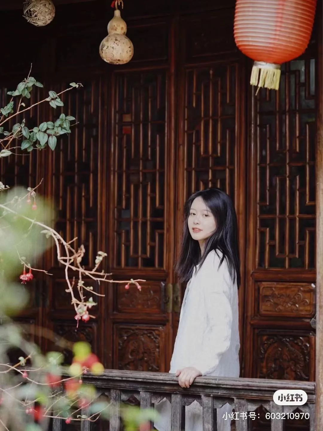 昆明避暑冷惨了外省人,昆明过冬真实感受