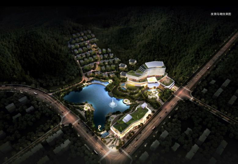 丽水投资15亿民宿,丽水五星级酒店名单