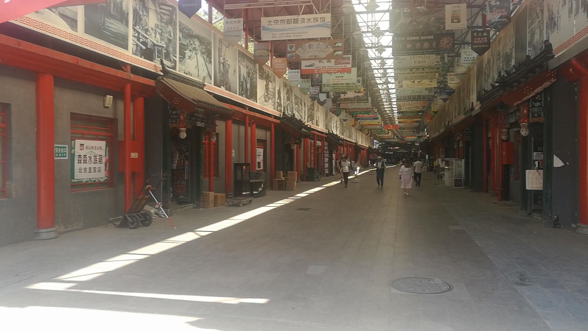 北京十里河鱼市，都说它拆了，我却看到了综合性的水族市场