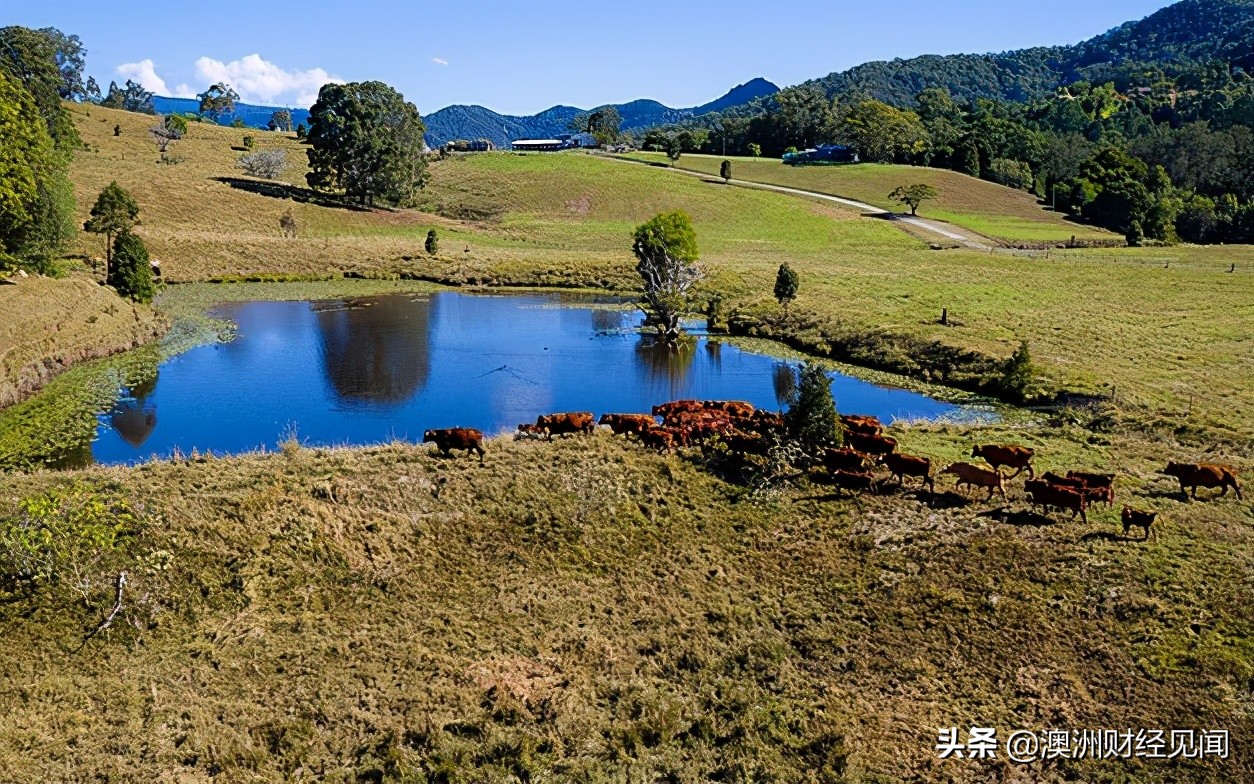 华人富商535万售出澳洲农场，获利$150万！还有一套5千万豪宅待售