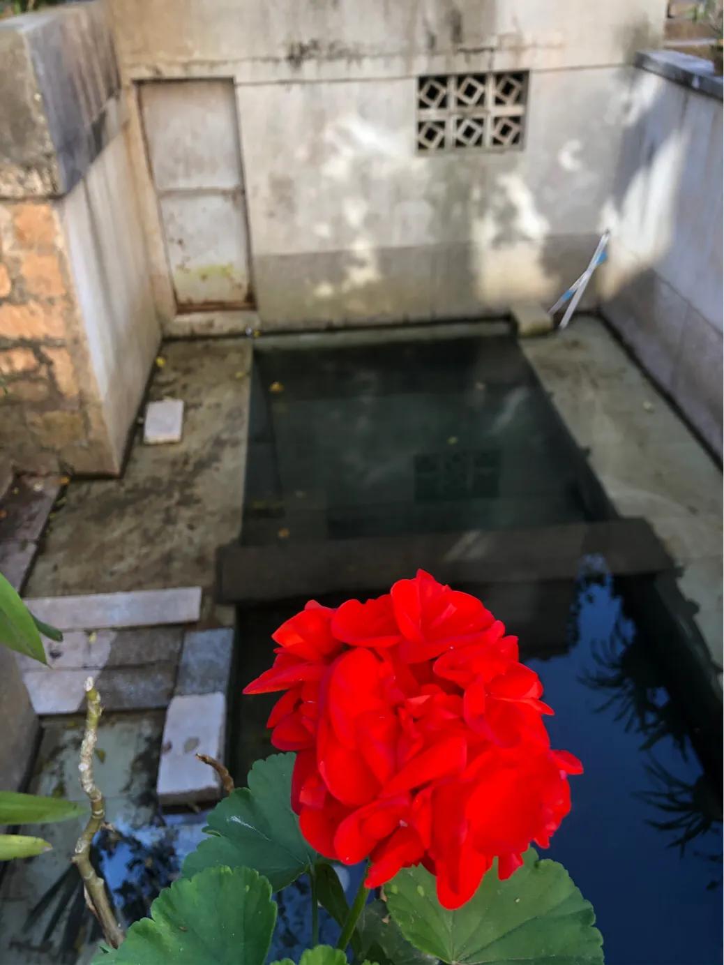 不该消失的电影,昆四中属于什么档次