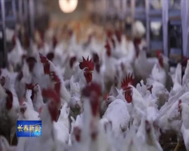 德惠市：项目建设亮点纷呈县域发展前景广阔