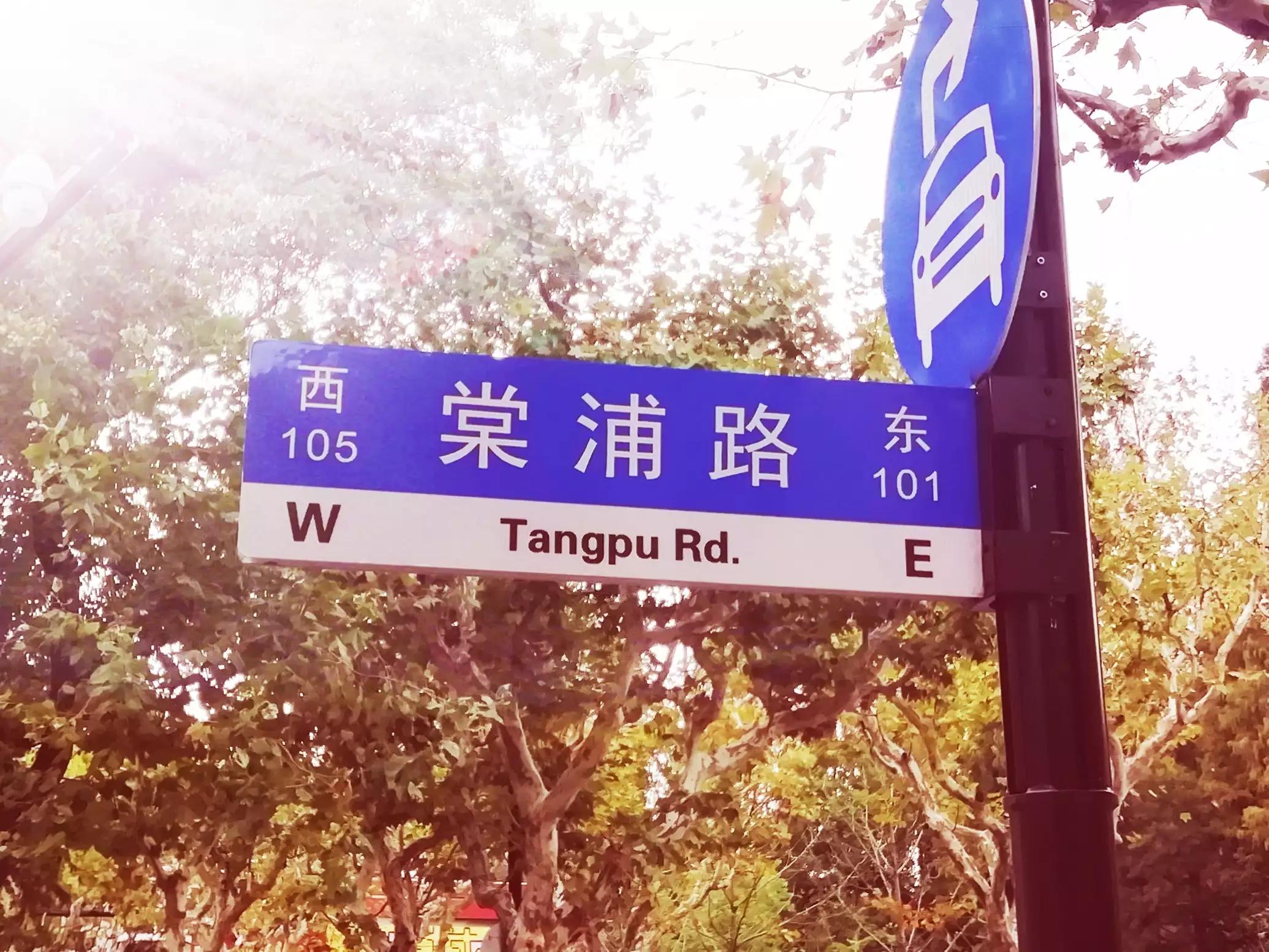 此劳模新村何以植物命名马路，以至美得像江南园林？