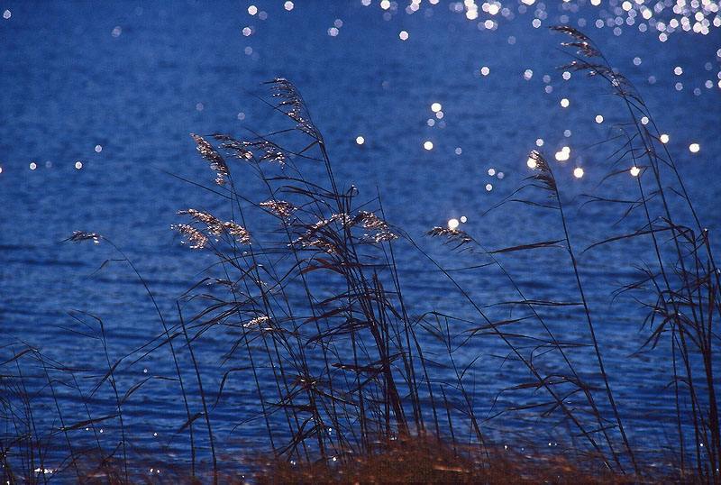 最新最全各类纪念日,不同国家的纪念日