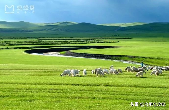 合肥九月机票飞哪里便宜,合肥出发旅游特价团