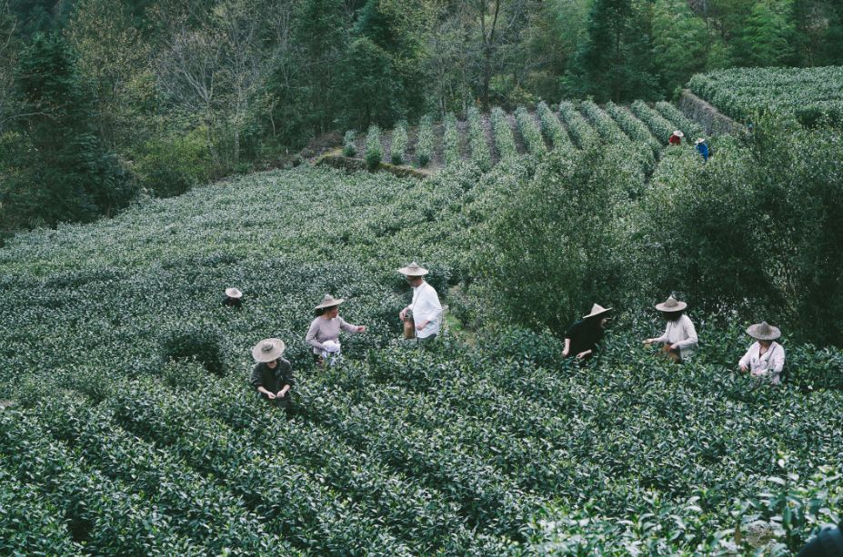 人均300海岛旅游,海岛旅游一价全包