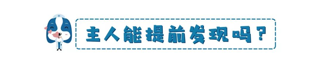 铲屎官请注意什么,铲屎官睫毛