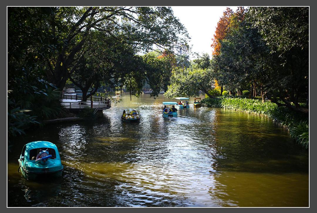 磷的科普视频,磷元素怎么发现的