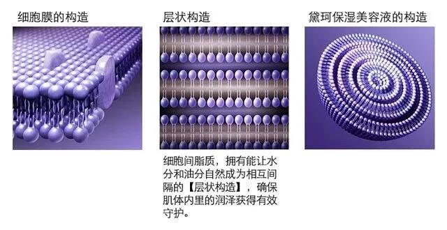 暴走50000步,暴走3万步完整版